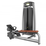       DHZ Fitness A814 - c      