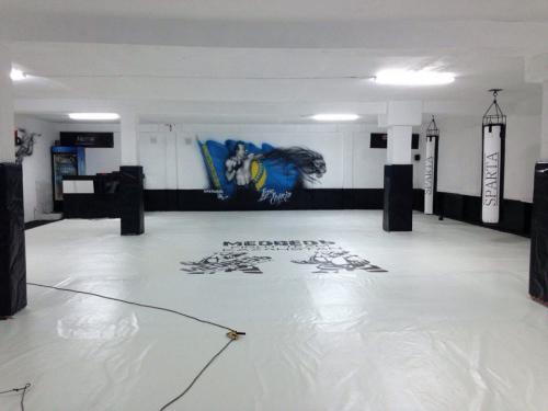 Борцовский ковер одноцветный 5 см. IRON KING Айрон Кинг - Екатеринбургспорт ру спорттовары в Екатеринбурге