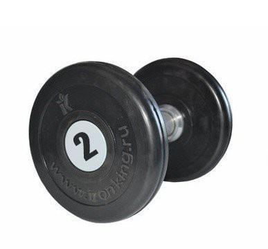 Гантель профессиональная IronKing 2 кг IK Айрон Кинг - Екатеринбургспорт ру спорттовары в Екатеринбурге