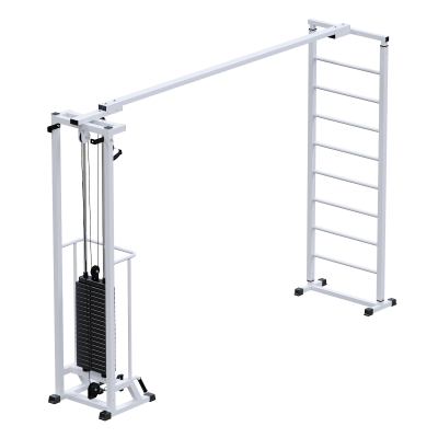 Профессиональный тренажер Биотонус + шведская стенка стек 100 кг Sabirgym SG087.1*2050*100 армс - Екатеринбургспорт ру спорттовары в Екатеринбурге