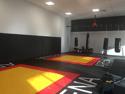 Борцовский ковер трехцветный 5 см. IRON KING Айрон Кинг - Екатеринбургспорт ру спорттовары в Екатеринбурге