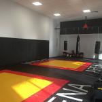 Борцовский ковер трехцветный 5 см. IRON KING Айрон Кинг - Екатеринбургспорт ру спорттовары в Екатеринбурге