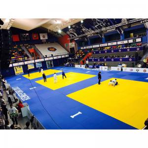 Татами "рисовая соломка" JUDO с антислипом IRON KING Айрон Кинг - Екатеринбургспорт ру спорттовары в Екатеринбурге