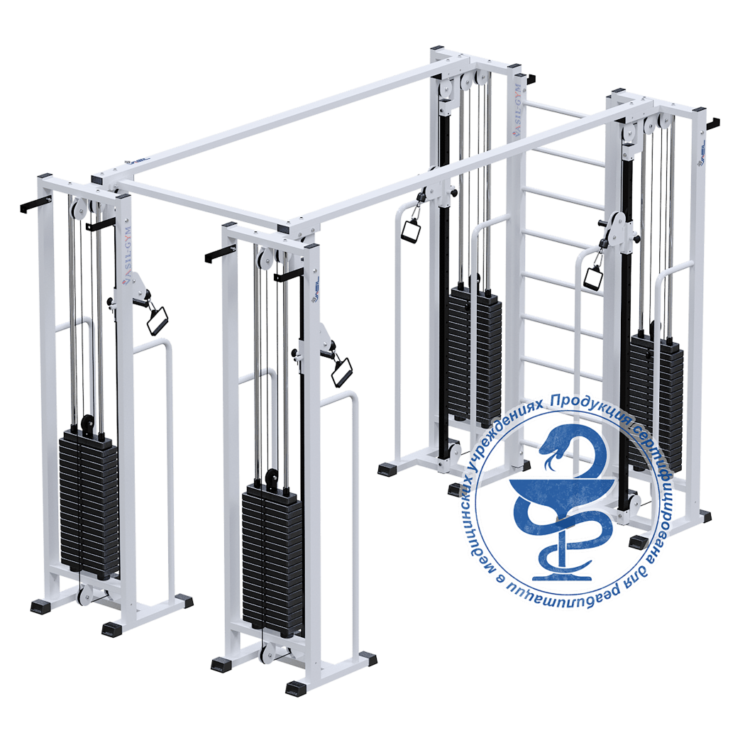 Блочный двойной кроссовер с шведской стенкой и регулируемыми по высоте  тягами тренажер Потапова с регулируемыми тягами по высоте. Vasil b.340  Профессиональная линейка тренажеров для зала Vasil-Gym Екатеринбургспорт