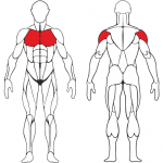 ���������������� �������� IRON KING ����� ���� REGENT ���������� - ������ ������, ��������� ��� IK 317 - ����������������� �� ����������� � �������������