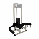   IRON KING   REGENT    IK10 -     