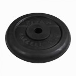 Диск TITAN 31 мм 5 кг ДТЧ 31/5.0 IRON KING Айрон Кинг - Екатеринбургспорт ру спорттовары в Екатеринбурге