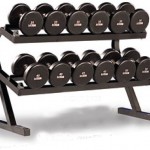    Powertec  Dumbbell Rack WB-DR10 - c      