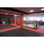    5  5  IRON KING   -     