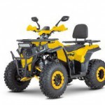  DAZZLE ATV200 ( 1) -     