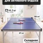 ��������� ���� DFC RayChee 60" 150 x 67 �� RQ23001-PP - ����������������� �� ����������� � �������������