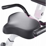  X-Bike DFC PLENY CF-917FM-2     -     