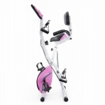  X-Bike DFC PLENY CF-917FM-2     -     