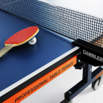 ���� ��������� ���������������� Start Line FIRE ����� GTS-6 vasilgym - ����������������� �� ����������� � �������������