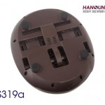    HANSUN HS319a - c      