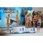 ��������� �������� ������� ��-2 / �������� ��-2� / ����� ��-2� 1000�600�380 �� - ����������������� �� ����������� � �������������