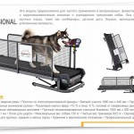 Беговая дорожка Fit Fur Life Professional для собак - Екатеринбургcпорт спортивный магазин рушим цены для Вас