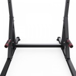 ��������� ������ DFC HOMEGYM SC-G719 �������� sportsman - ����������������� �� ����������� � �������������