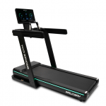   BRONZE GYM WALKWAY    -     