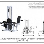    +    ( 100 ) AR053 -     