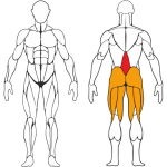 ������� �������� IRON KING ����� ���� S301 �������������� - ����������������� �� ����������� � �������������