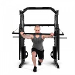 ��������� ������� ���� DFC PowerGym D700/2 s-dostavka - ����������������� �� ����������� � �������������