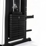 ��������� ������� ���� DFC PowerGym D700/2 s-dostavka - ����������������� �� ����������� � �������������