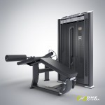 ���������������� ������� �������� �������� ��� ����. ���� 110 �� DHZ Fitness E7001A  - ����������������� �� ����������� � �������������