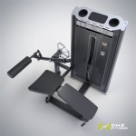 ���������������� ������� �������� �������� ��� ����. ���� 110 �� DHZ Fitness E7001A  - ����������������� �� ����������� � �������������