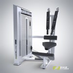 ���������������� ������� �������� �����-������. ���� 110 �� DHZ Fitness E7073A  - ����������������� �� ����������� � �������������