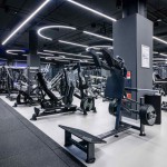 ���������������� ������� �������� ���������� DHZ Fitness E7065 �������� - ����������������� �� ����������� � �������������
