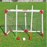   DFC       GOAL101A -     