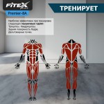 P-8A PROF ���������������� �������� Fitex Pro PREMIER-8A PROF  - ����������������� �� ����������� � �������������