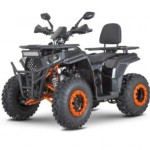  DAZZLE ATV200 ( 1) -     