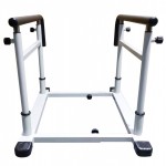     AMF D1  vasil -     
