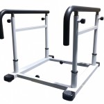    AMF D1  vasil -     