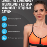    OXYGEN FITNESS SENSE sportsman -     