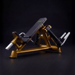 ���������������� ������� �������� ���������� DHZ Fitness T921 - ����������������� �� ����������� � �������������