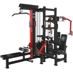    4-  Gymmaster EK121 s-dostavka -     
