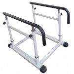     AMF D1  vasil -     