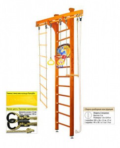   Kampfer Wooden Ladder Ceiling Basketball Shield s-dostavka - c      