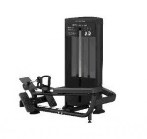     BRONZE GYM BLANC 33 BN33 -     