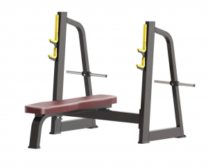     Protrain BPL143   vasil-gym -     