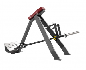 -     Protrain BPL161   vasilgym -     