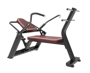    Protrain BPL170  s-dostavka -     