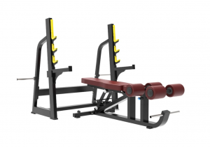     Protrain BPL186   ARMS -     