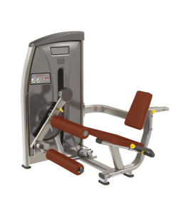         BRONZE GYM   E-013 -     