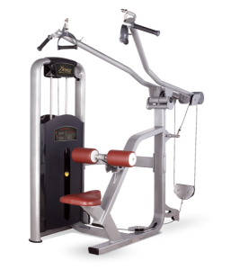     BRONZE GYM    MV-012  -     