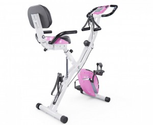 ������������ X-Bike DFC PLENY CF-917FM-2 �������� � ����������� ����� - ����������������� �� ����������� � �������������