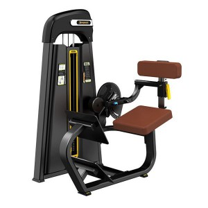       DHZ Fitness E1031 -     